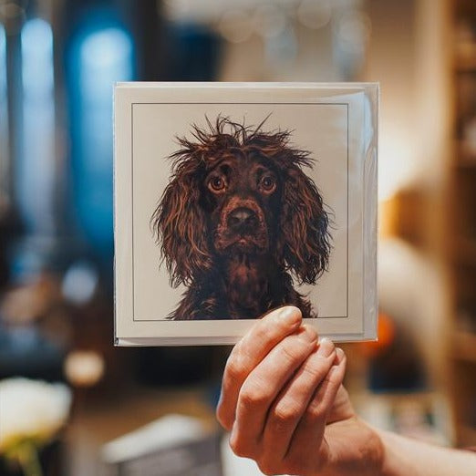 Working cocker spaniel - Dog Greeting Card