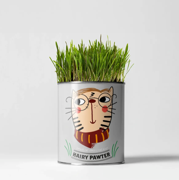 Hairy Pawter. Eco Grow Your Own Cat-Friendly Grow Kit, Gift.