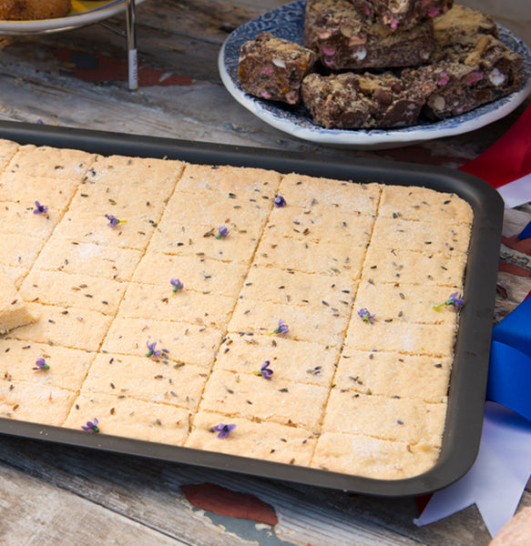 Aga Enamelled Baking Tray Full Size