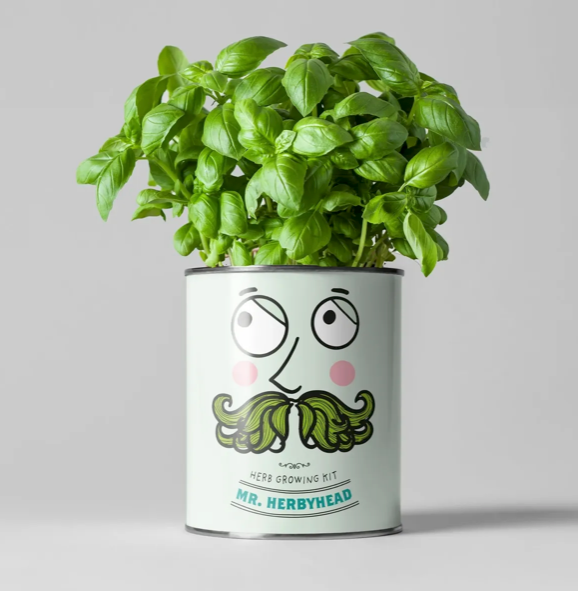 Mr. Herbyhead. Eco Grow Your Own Plant Kit, Gardening Gift.