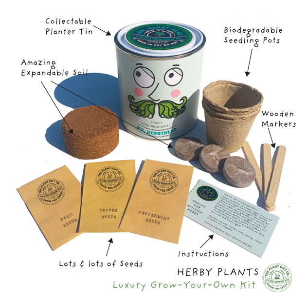 Mr. Herbyhead. Eco Grow Your Own Plant Kit, Gardening Gift.