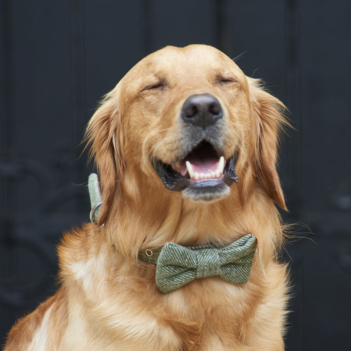 Tweed Bow Tie