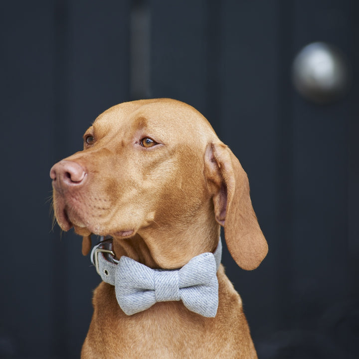 Tweed Bow Tie