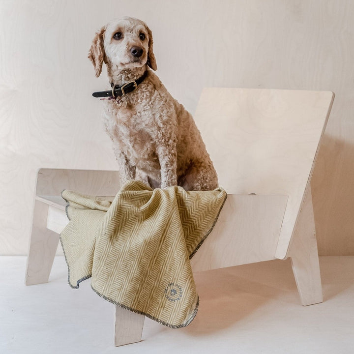 Recycled Wool Small Pet Blanket in Mustard Herringbone