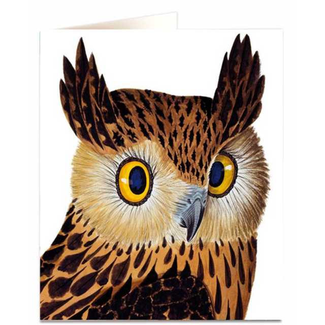 Tawny Fish Owl Card