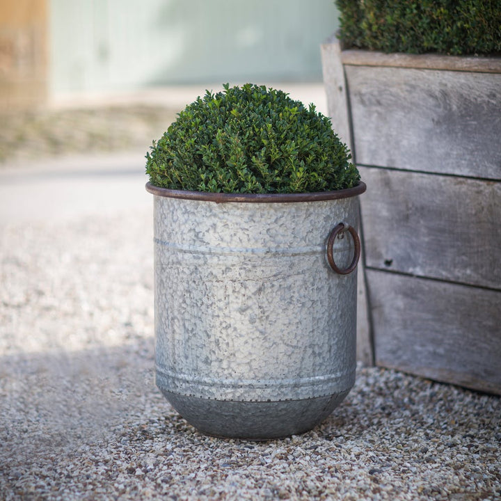 Medium Malmesbury Planter