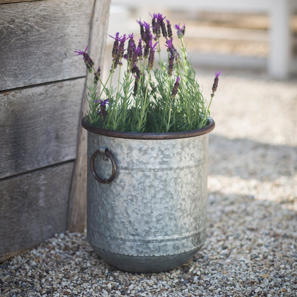 Small Malmesbury Planter