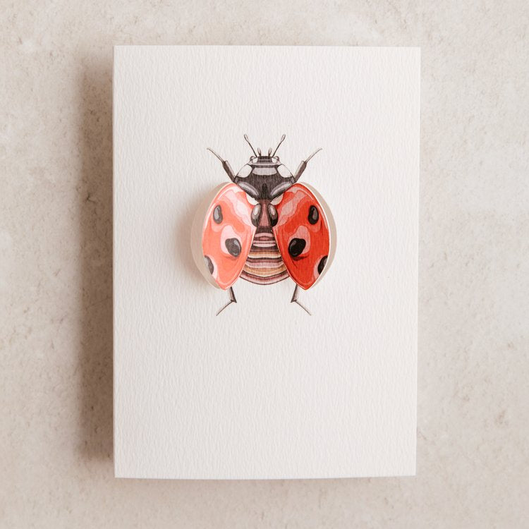Ladybird Pop Out Butterfly Watercolour Greetings Card